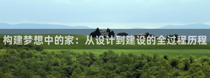 征途国际软件：构建梦想中的家：从设计到建设的全过程历程