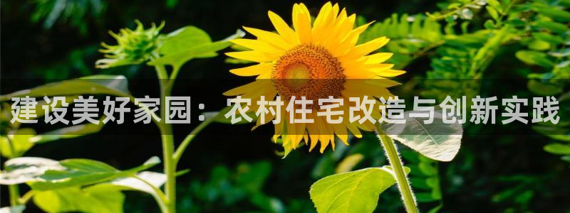 征途国际理财logo：建设美好家园：农村住宅改造与创新实践