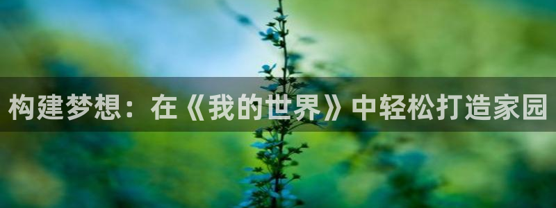 征途国际大厅有挂吗：构建梦想：在《我的世界》中轻松打造家园