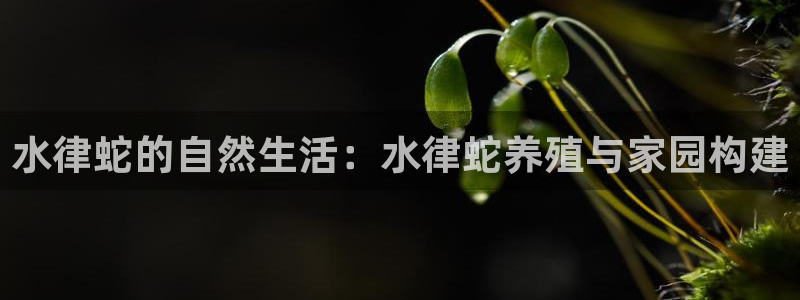 征途国际系统：水律蛇的自然生活：水律蛇养殖与家园构建