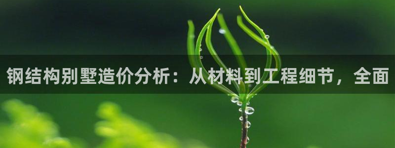 征途国际垫付金额：钢结构别墅造价分析：从材料到工程细节，全面