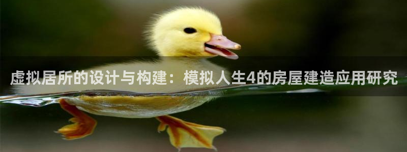 吉林征途国际