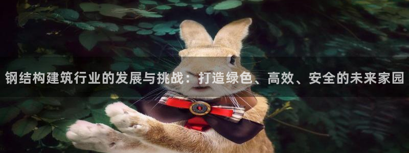 征途国际管理集团：钢结构建筑行业的发展与挑战：打造绿色、高效、安全的未来家园