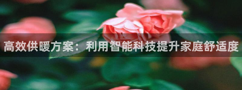 征途国际系统：高效供暖方案：利用智能科技提升家庭舒适度